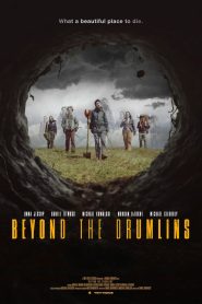 Beyond the Drumlins
